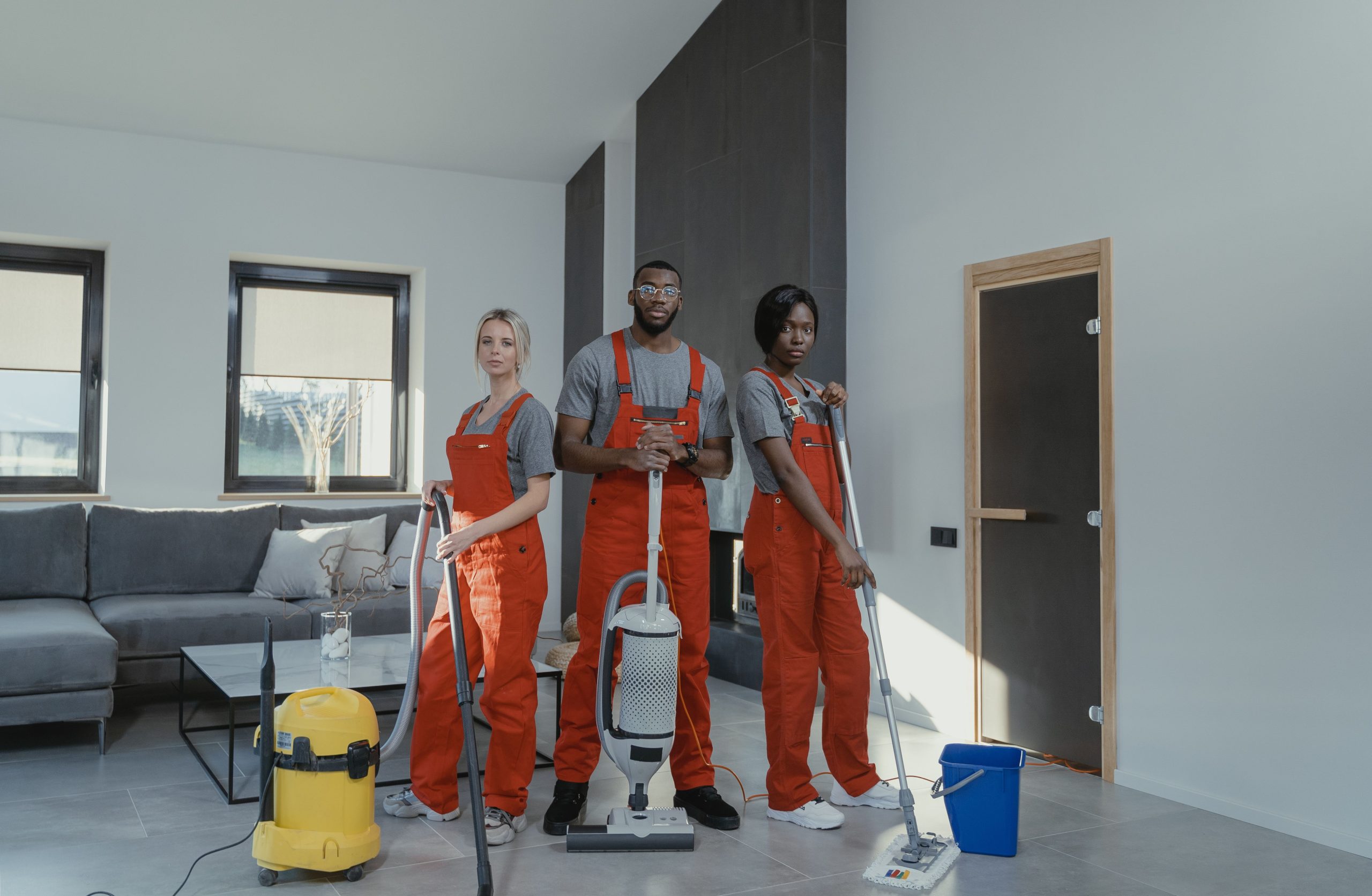 cleaning professionals